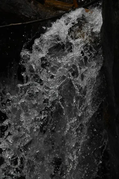 DSC_4623 (Large).JPG